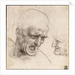 Study of Two Warriors Heads for the Battle of Anghiari by Leonardo da Vinci