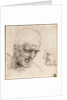 Study of Two Warriors Heads for the Battle of Anghiari by Leonardo da Vinci