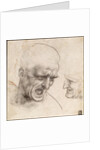 Study of Two Warriors Heads for the Battle of Anghiari by Leonardo da Vinci