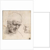 Study of Two Warriors Heads for the Battle of Anghiari by Leonardo da Vinci
