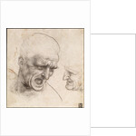 Study of Two Warriors Heads for the Battle of Anghiari by Leonardo da Vinci
