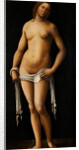 Venus by Lorenzo Costa