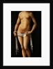 Venus by Lorenzo Costa