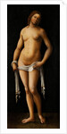 Venus by Lorenzo Costa