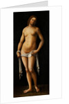 Venus by Lorenzo Costa