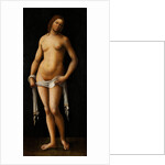 Venus by Lorenzo Costa