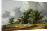 Road in the Dunes with a Carriage by Salomon Jacobsz van Ruisdael