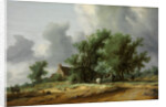 Road in the Dunes with a Carriage by Salomon Jacobsz van Ruisdael