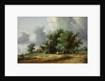 Road in the Dunes with a Carriage by Salomon Jacobsz van Ruisdael