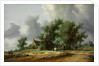 Road in the Dunes with a Carriage by Salomon Jacobsz van Ruisdael