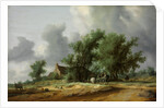 Road in the Dunes with a Carriage by Salomon Jacobsz van Ruisdael