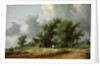 Road in the Dunes with a Carriage by Salomon Jacobsz van Ruisdael