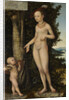 Venus with Cupid the Honey Thief by Lucas Cranach the Elder
