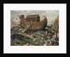 The Noahs Ark on Mount Ararat by Simon de Myle