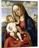 Virgin and Child by Giovanni Battista Cima da Conegliano