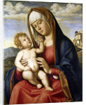 Virgin and Child by Giovanni Battista Cima da Conegliano