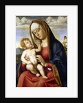 Virgin and Child by Giovanni Battista Cima da Conegliano