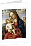 Virgin and Child by Giovanni Battista Cima da Conegliano