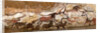 Panel of the Unicorn (Panel of the Black Bear) at Lascaux by Art of the Upper Paleolithic
