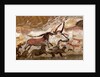 Panel of the Unicorn (Panel of the Black Bear) at Lascaux by Art of the Upper Paleolithic