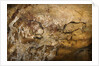 Painting in the Cave of Niaux by Art of the Upper Paleolithic