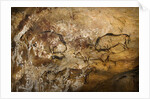 Painting in the Cave of Niaux by Art of the Upper Paleolithic
