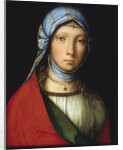 Gypsy Girl by Boccaccio Boccaccino