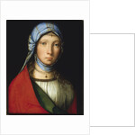 Gypsy Girl by Boccaccio Boccaccino