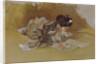 The Picture Book by Robert Frederick Blum
