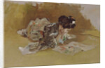 The Picture Book by Robert Frederick Blum
