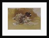 The Picture Book by Robert Frederick Blum