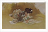 The Picture Book by Robert Frederick Blum