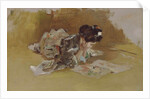 The Picture Book by Robert Frederick Blum