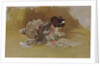 The Picture Book by Robert Frederick Blum
