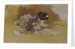 The Picture Book by Robert Frederick Blum