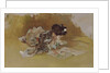 The Picture Book by Robert Frederick Blum