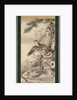 Pair of Hawks with Branch and Blossoms by Soga Shohaku