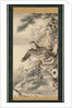 Pair of Hawks with Branch and Blossoms by Soga Shohaku