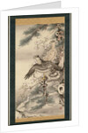 Pair of Hawks with Branch and Blossoms by Soga Shohaku