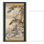 Pair of Hawks with Branch and Blossoms by Soga Shohaku