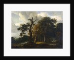 A Road through an Oak Wood by Jacob Isaacksz van Ruisdael
