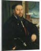 Portrait of Matthäus Schwarz by Christoph Amberger
