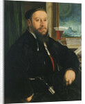 Portrait of Matthäus Schwarz by Christoph Amberger