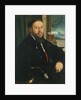 Portrait of Matthäus Schwarz by Christoph Amberger