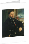 Portrait of Matthäus Schwarz by Christoph Amberger