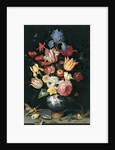 Chinese Vase with Flowers, Shells and Insects by Balthasar van der Ast