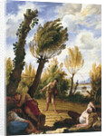 The Parable of the Wheat and the Tares by Domenico Fetti