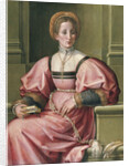 Portrait of a Lady by Pier Francesco di Jacopo Foschi