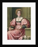 Portrait of a Lady by Pier Francesco di Jacopo Foschi