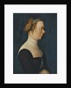 Portrait of a Woman by Hans Holbein the Younger